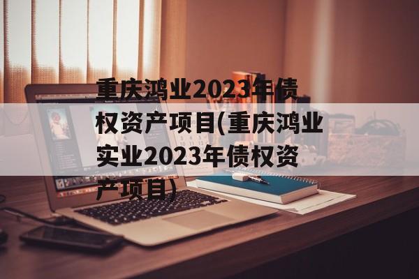 重庆鸿业2023年债权资产项目(重庆鸿业实业2023年债权资产项目)