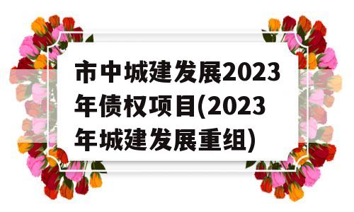 市中城建发展2023年债权项目(2023年城建发展重组)