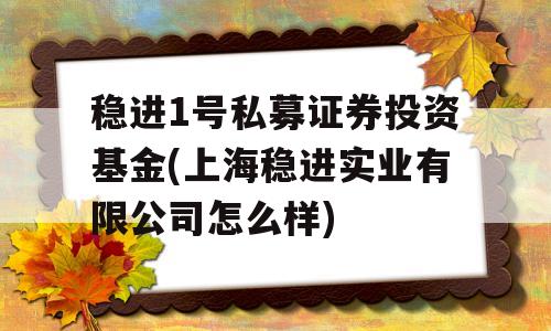 稳进1号私募证券投资基金(上海稳进实业有限公司怎么样)