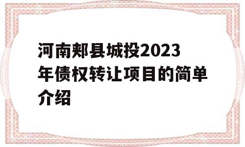 河南郏县城投2023年债权转让项目的简单介绍