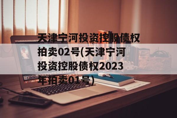 天津宁河投资控股债权拍卖02号(天津宁河投资控股债权2023年拍卖01号)