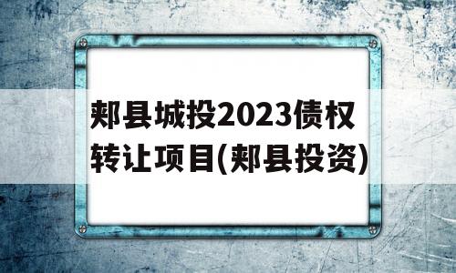 郏县城投2023债权转让项目(郏县投资)