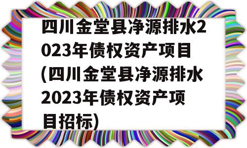 四川金堂县净源排水2023年债权资产项目(四川金堂县净源排水2023年债权资产项目招标)