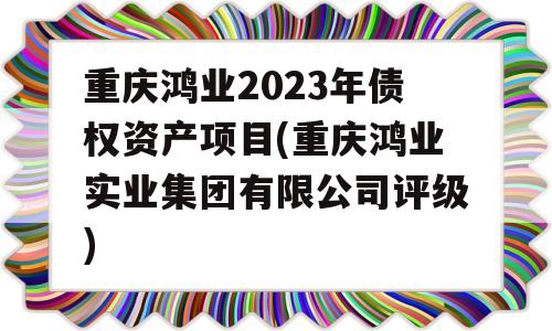 重庆鸿业2023年债权资产项目(重庆鸿业实业集团有限公司评级)