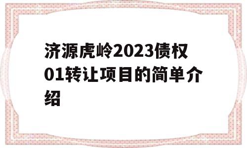 济源虎岭2023债权01转让项目的简单介绍