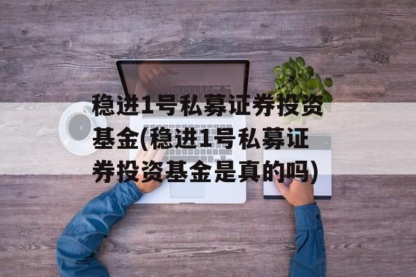 稳进1号私募证券投资基金(稳进1号私募证券投资基金是真的吗)