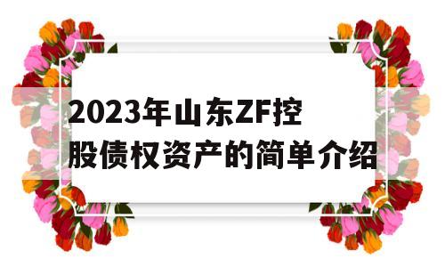 2023年山东ZF控股债权资产的简单介绍