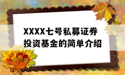 XXXX七号私募证券投资基金的简单介绍