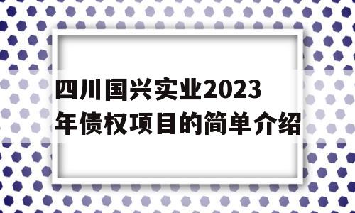 四川国兴实业2023年债权项目的简单介绍