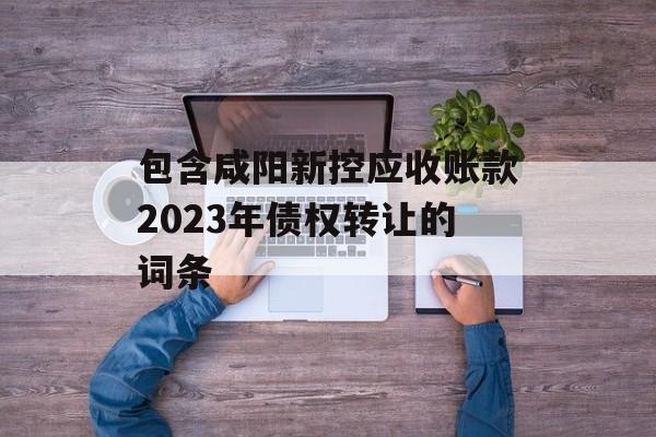 包含咸阳新控应收账款2023年债权转让的词条