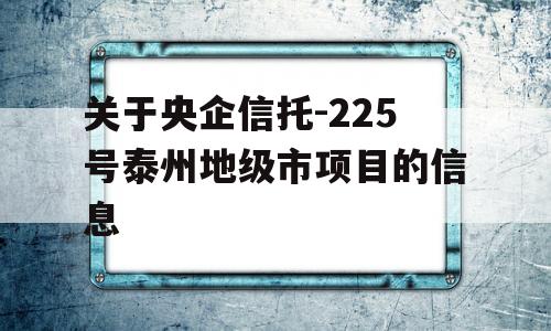 关于央企信托-225号泰州地级市项目的信息