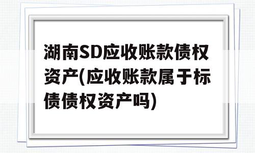 湖南SD应收账款债权资产(应收账款属于标债债权资产吗)