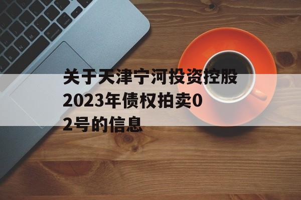 关于天津宁河投资控股2023年债权拍卖02号的信息