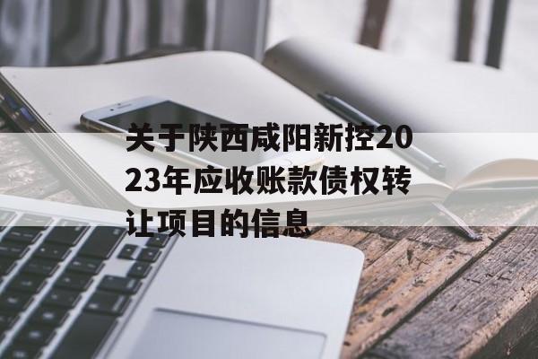 关于陕西咸阳新控2023年应收账款债权转让项目的信息