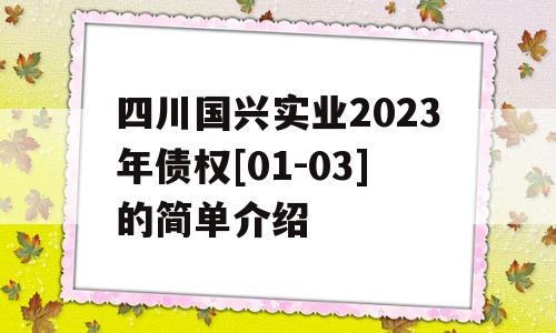 四川国兴实业2023年债权[01-03]的简单介绍