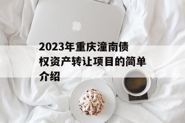 2023年重庆潼南债权资产转让项目的简单介绍