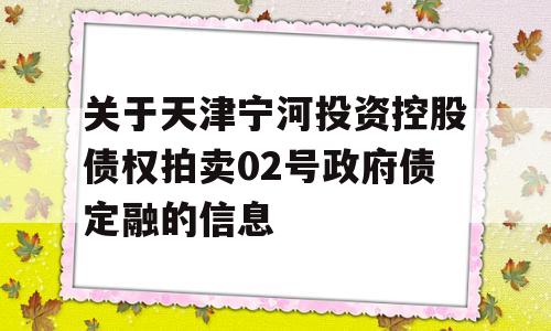 关于天津宁河投资控股债权拍卖02号政府债定融的信息