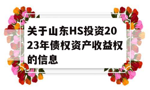 关于山东HS投资2023年债权资产收益权的信息