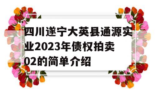 四川遂宁大英县通源实业2023年债权拍卖02的简单介绍