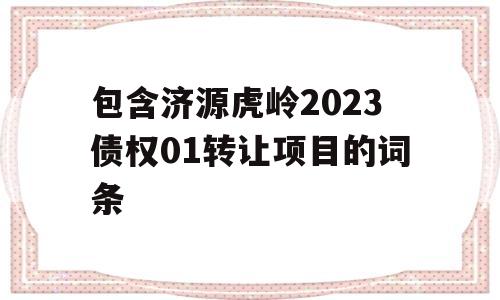 包含济源虎岭2023债权01转让项目的词条