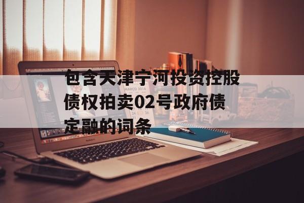 包含天津宁河投资控股债权拍卖02号政府债定融的词条