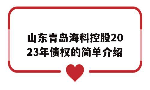 山东青岛海科控股2023年债权的简单介绍