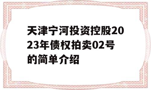 天津宁河投资控股2023年债权拍卖02号的简单介绍