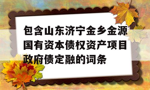 包含山东济宁金乡金源国有资本债权资产项目政府债定融的词条