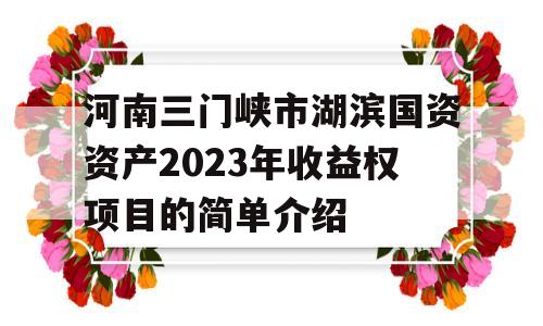 河南三门峡市湖滨国资资产2023年收益权项目的简单介绍