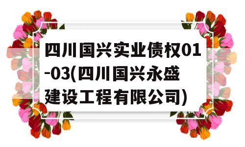 四川国兴实业债权01-03(四川国兴永盛建设工程有限公司)