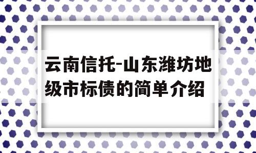 云南信托-山东潍坊地级市标债的简单介绍