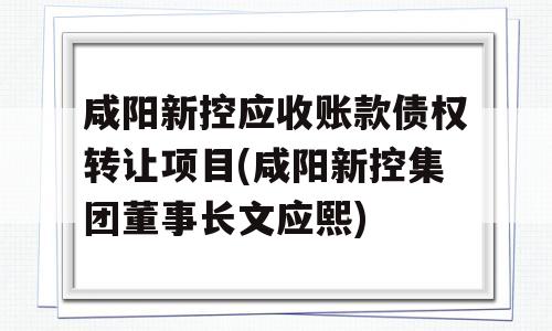 咸阳新控应收账款债权转让项目(咸阳新控集团董事长文应熙)