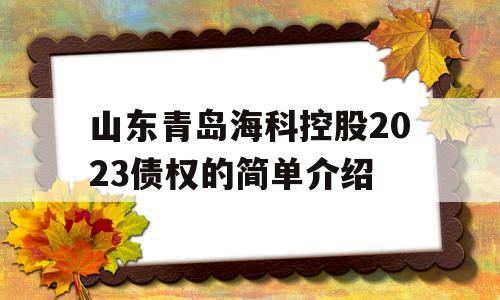 山东青岛海科控股2023债权的简单介绍