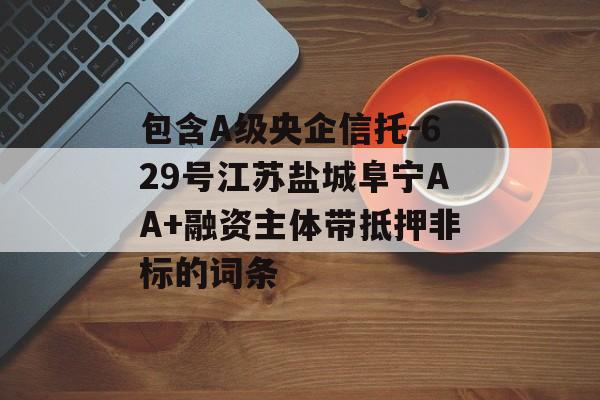 包含A级央企信托-629号江苏盐城阜宁AA+融资主体带抵押非标的词条