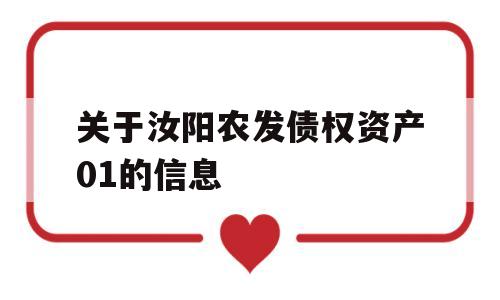 关于汝阳农发债权资产01的信息