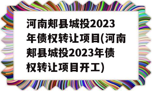 河南郏县城投2023年债权转让项目(河南郏县城投2023年债权转让项目开工)