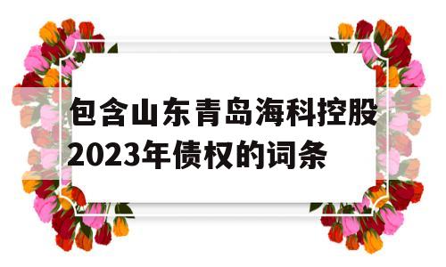 包含山东青岛海科控股2023年债权的词条