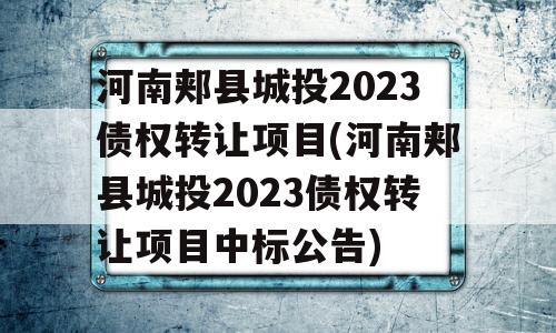 河南郏县城投2023债权转让项目(河南郏县城投2023债权转让项目中标公告)