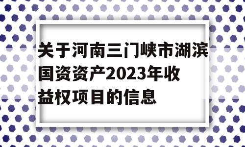 关于河南三门峡市湖滨国资资产2023年收益权项目的信息