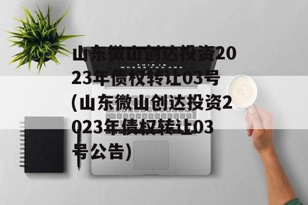 山东微山创达投资2023年债权转让03号(山东微山创达投资2023年债权转让03号公告)