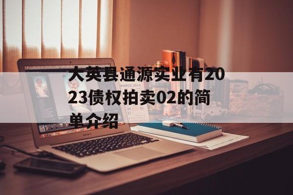 大英县通源实业有2023债权拍卖02的简单介绍