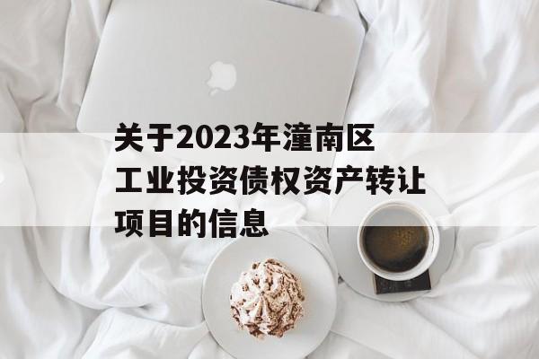 关于2023年潼南区工业投资债权资产转让项目的信息