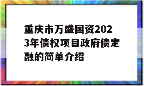 重庆市万盛国资2023年债权项目政府债定融的简单介绍