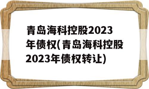 青岛海科控股2023年债权(青岛海科控股2023年债权转让)