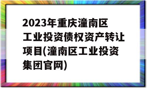 2023年重庆潼南区工业投资债权资产转让项目(潼南区工业投资集团官网)