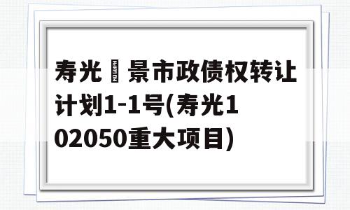 寿光昇景市政债权转让计划1-1号(寿光102050重大项目)