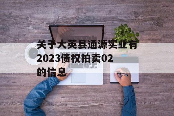 关于大英县通源实业有2023债权拍卖02的信息