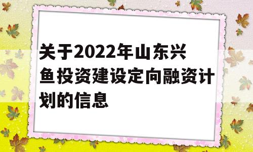 关于2022年山东兴鱼投资建设定向融资计划的信息