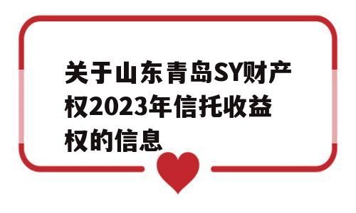 关于山东青岛SY财产权2023年信托收益权的信息