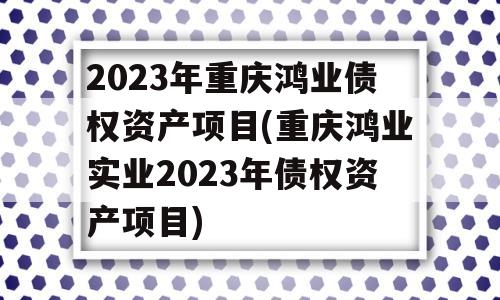 2023年重庆鸿业债权资产项目(重庆鸿业实业2023年债权资产项目)